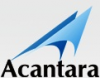 Search Engine Optimization - Acantara'