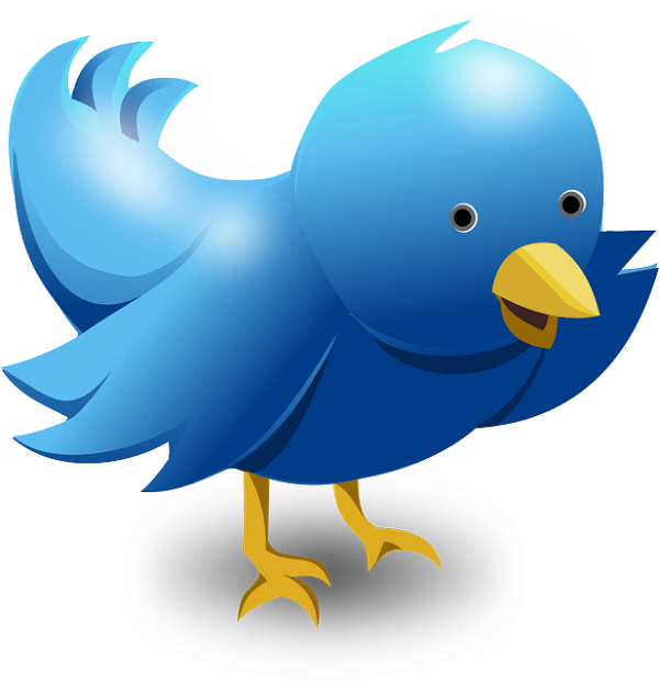 MamaBear App Now Offers Twitter Monitoring'