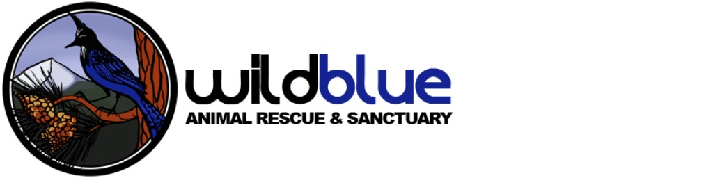 Company Logo For Wild Blue Animal Rescue &amp; Sanctuary