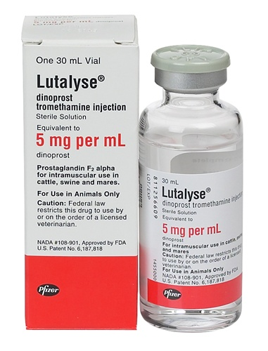Lutalyse for Cattle, Goats &amp;amp; Horses'