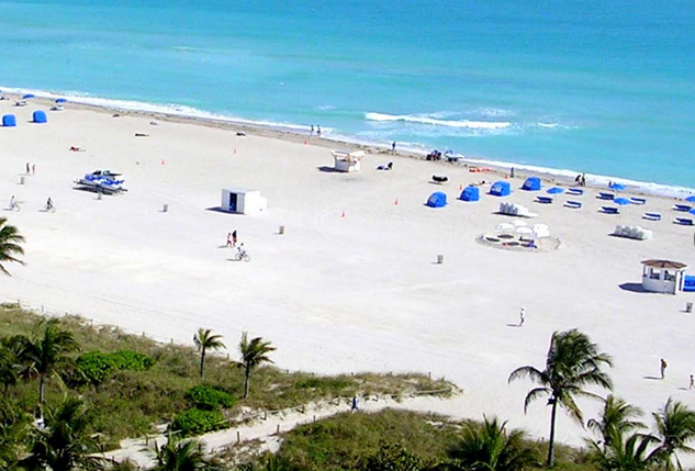 Rental and Realty Miami Beach