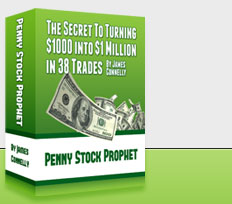 Top Penny Stock Picker of 2013'