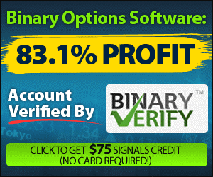 Binary Matrix Pro'