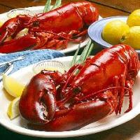 Freeredlobstercoupons.org