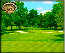 Luxury Real Estate For Sale in Florida Golf Communities'