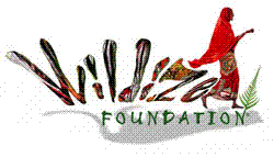 Wildize Foundation'