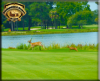Grand Haven Golf Community Real Estate - Palm Coast, Florida'