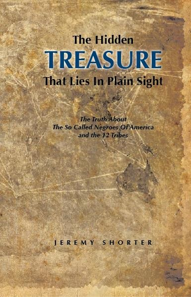 The Hidden Treasure