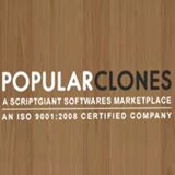 The Best Website Builder Software Provider India'