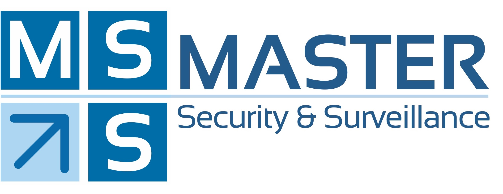 Master Security & Surveillance