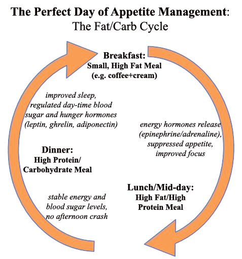 Fat/Carb Cycle'