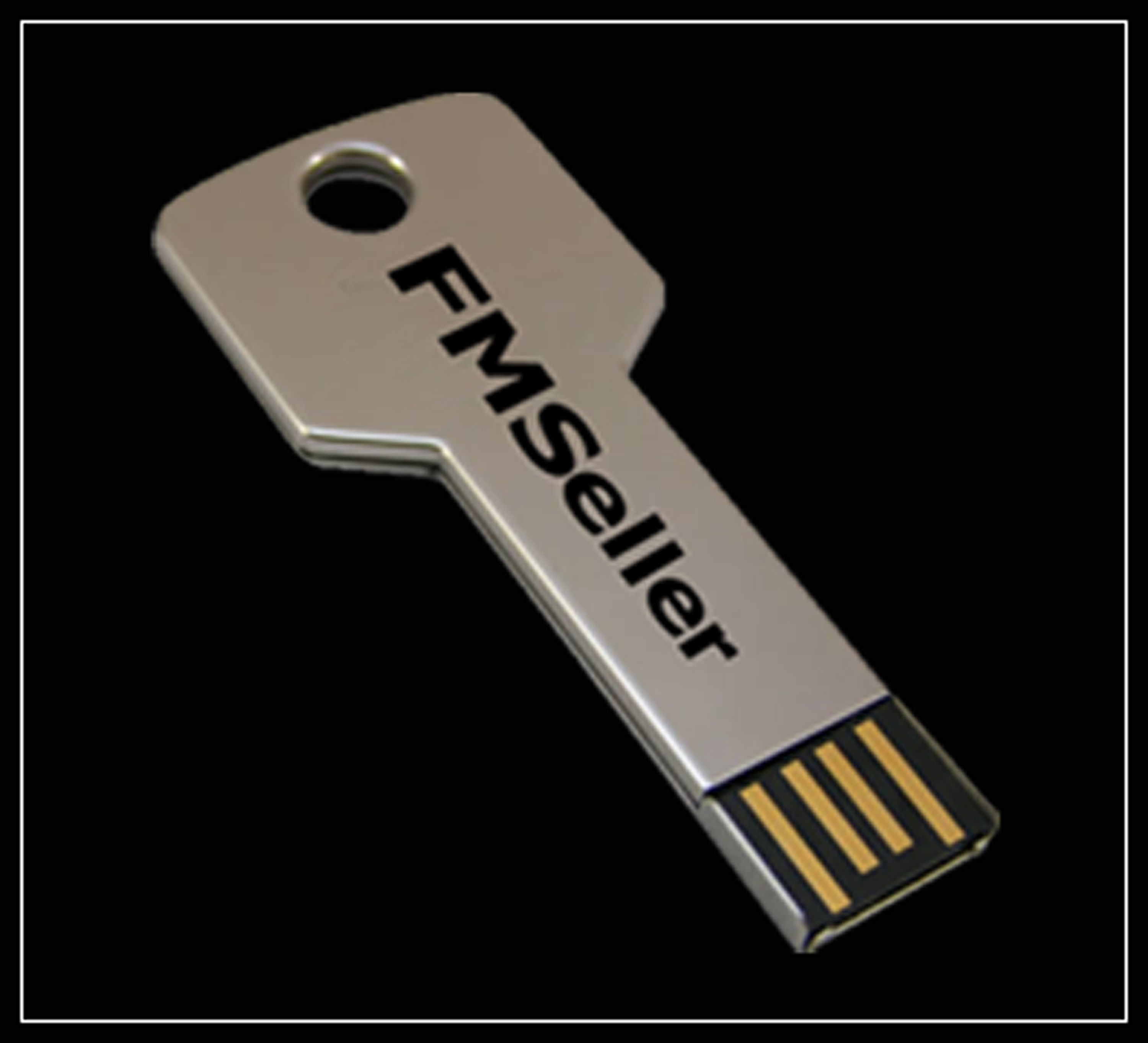 FM Radio Transmitter with Built-in Audio