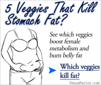 Venus Factor Fat loss Program