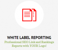 White label reporting