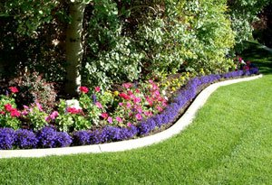 Steve-N-Son Landscaping'