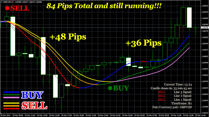 Triple Profit Winner'