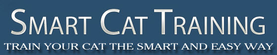 Smartcattraining.com Logo