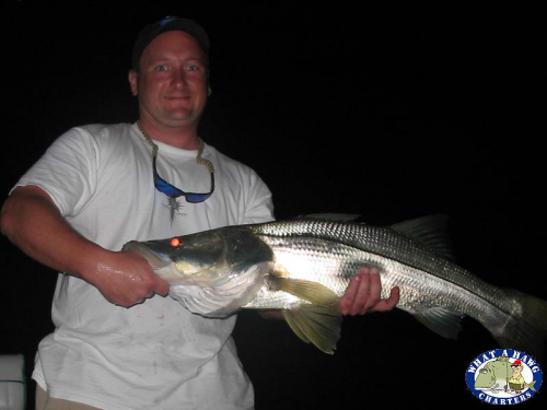 Night Fishing In Ft Myers FL For Snook'