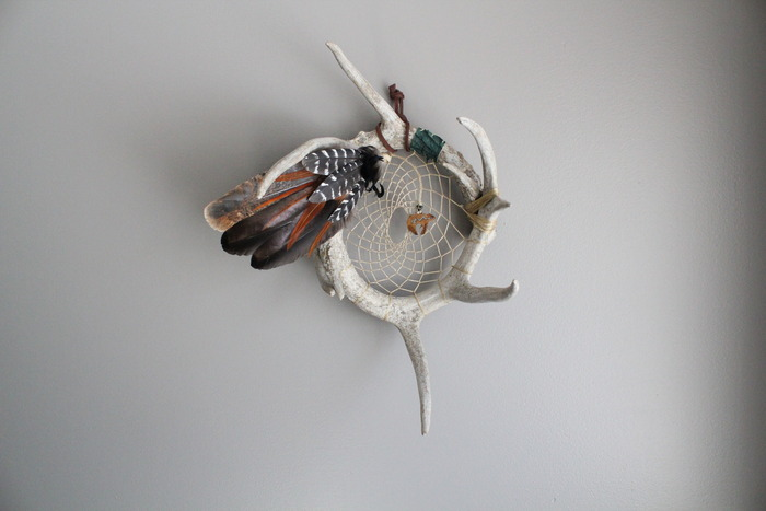 Meg Hamann to Start &lsquo;The Freezing Squirrel&rsq