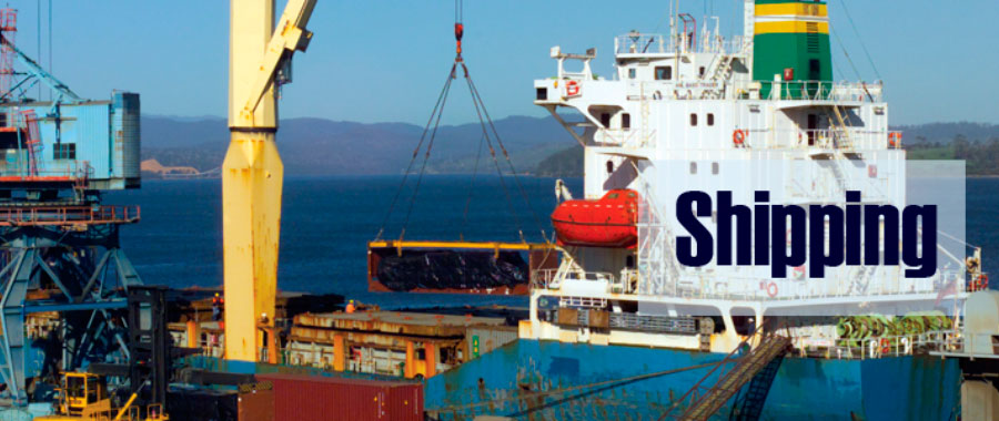 Vaman Kumar Nordbell'