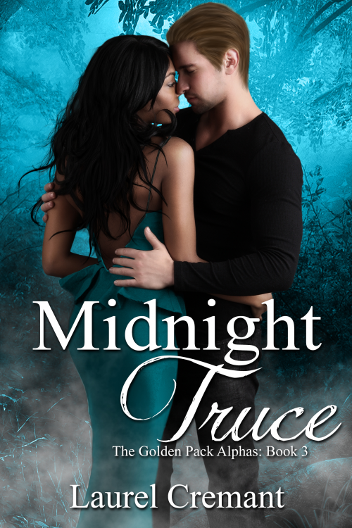 Midnight Truce - erotic romance'