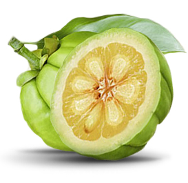 Company Logo For Garcinia Cambogia Free Trial offer'