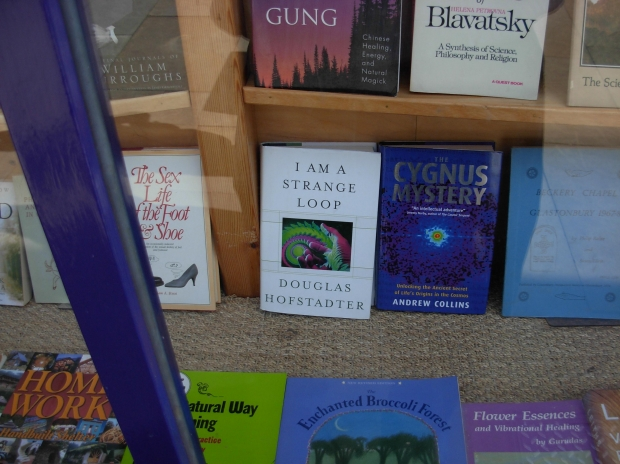 Margie Scott Tucker Book Club Applauded By Home And Rec'