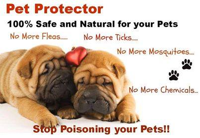 Pet Protector'