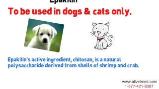 Excellent Tips About Dogs That Are Easy To Follow'