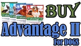 Advantage II For Dog Flea Treatment'