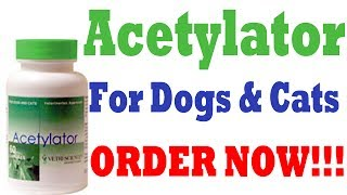 Acetylator For Dogs &amp;amp; Cats'
