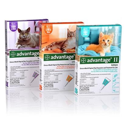 Advantage II for Cat Flea Treatment'
