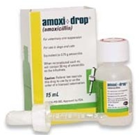 Amoxi-Drops'