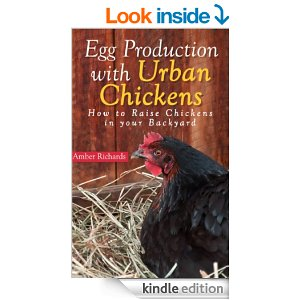 Egg Production with Urban Chickens'