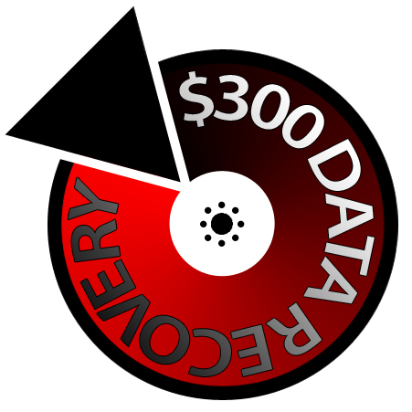 $300 Data Recovery Logo