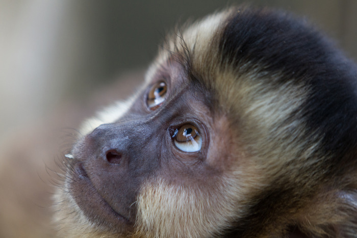 Letters from Within Dima Petrov, Anna Soldatova, and Keith T