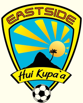 Window Stickers as Makerting Tool'