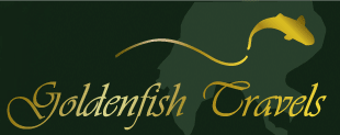 Golden Fish Travels Logo
