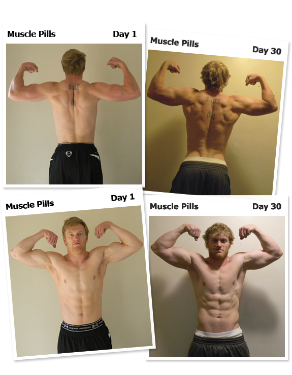 Pro Testosterone Muscle Builder'