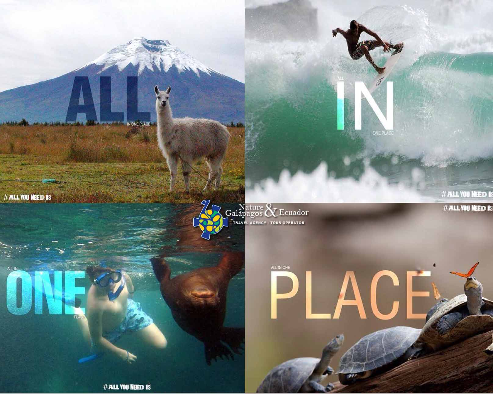 All you need is Ecuador'