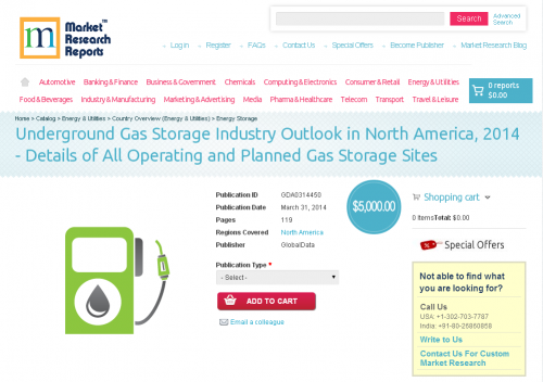 Underground Gas Storage Industry Outlook in North America'