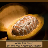 Adam Paul Green