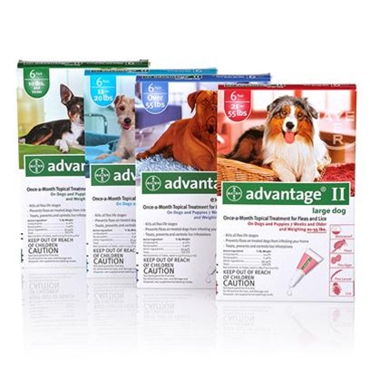 Advantage II for Dog'