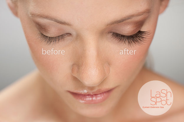 Idol Lash Eye Lashes'