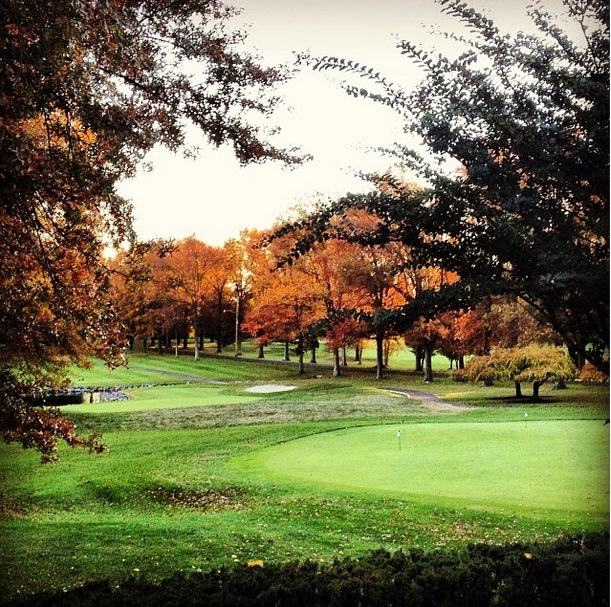 Northampton Valley Country Club Green &amp; Trees