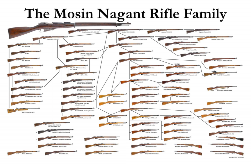 Mosin Nagant for sale family tree'
