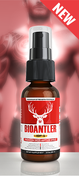 BioAntler'