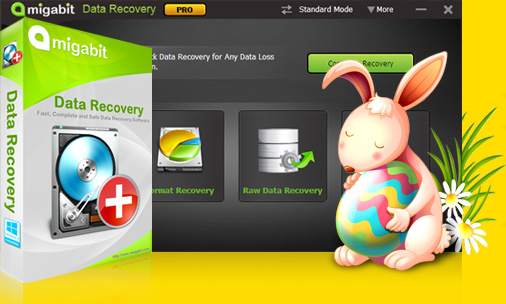 Amigabit Data Recovery'