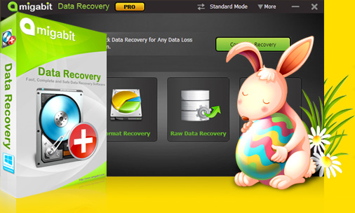 Amigabit Data Recovery