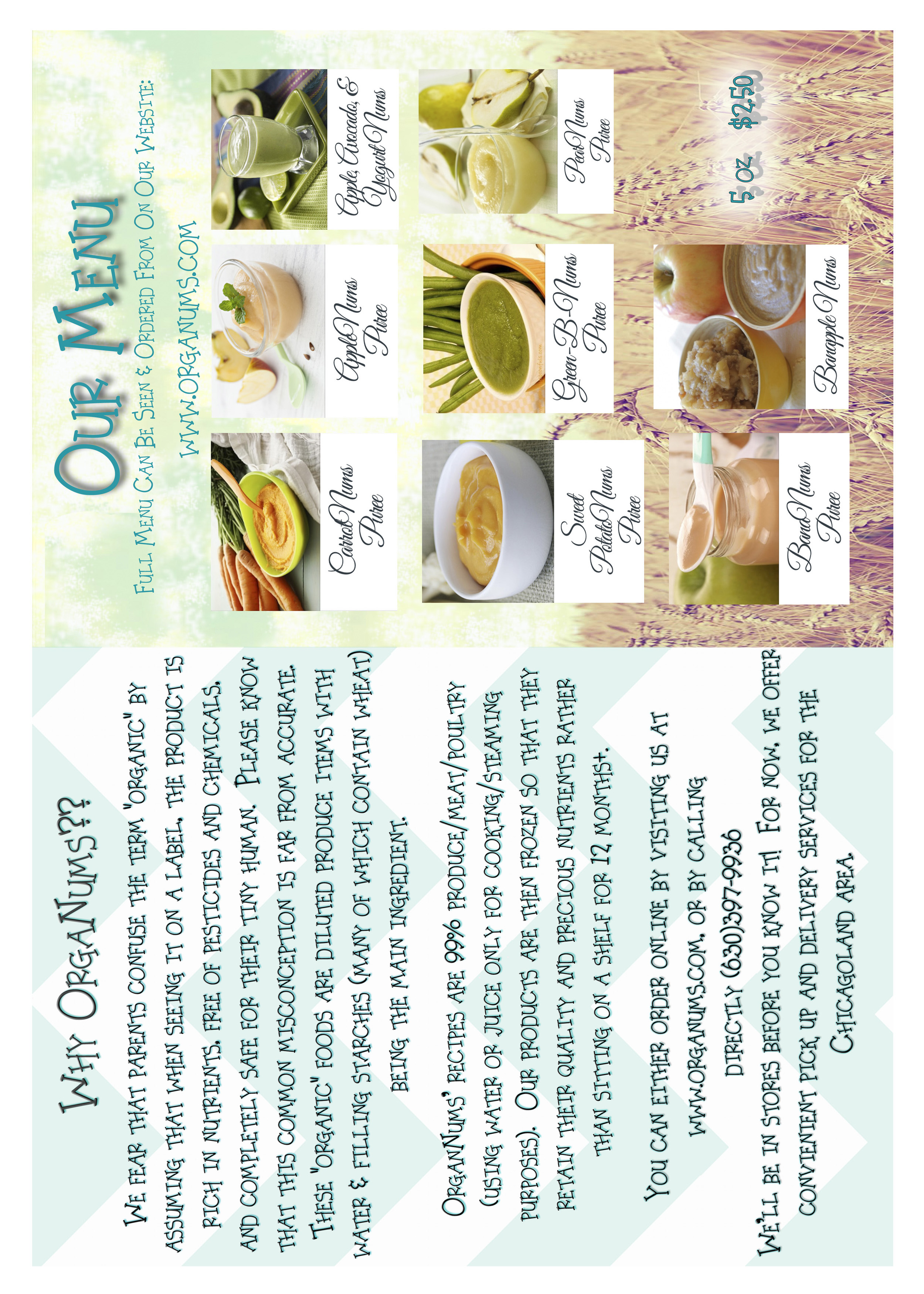 Transform the Baby Food Industry with OrgaNums